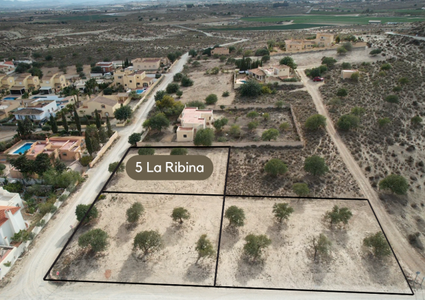 La Ribina plots