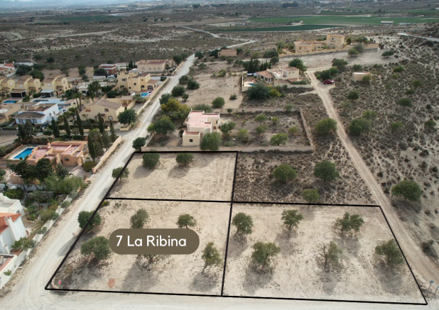 La Ribina plots