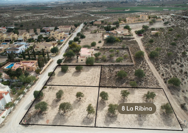 La Ribina plots