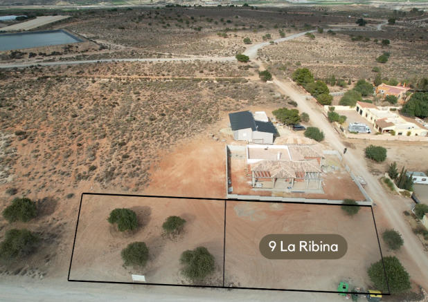 La Ribina plots