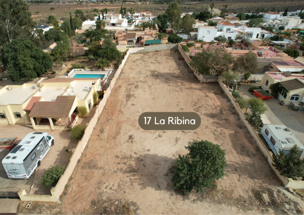 La Ribina plots