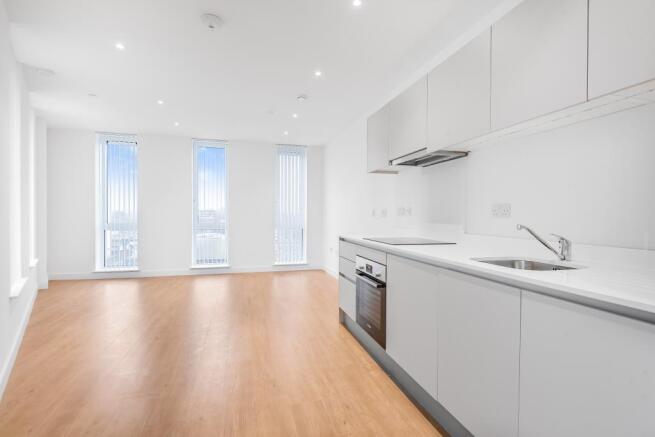 Kitchen/Living Area