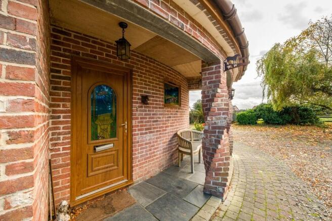 TWWThe Windmill -...