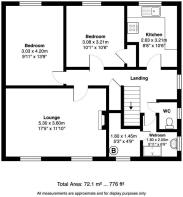FP-41 dangerfield.jpg