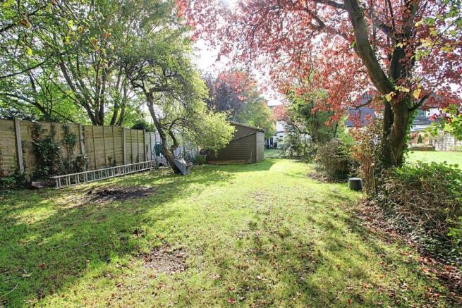 Garden 4.jpg