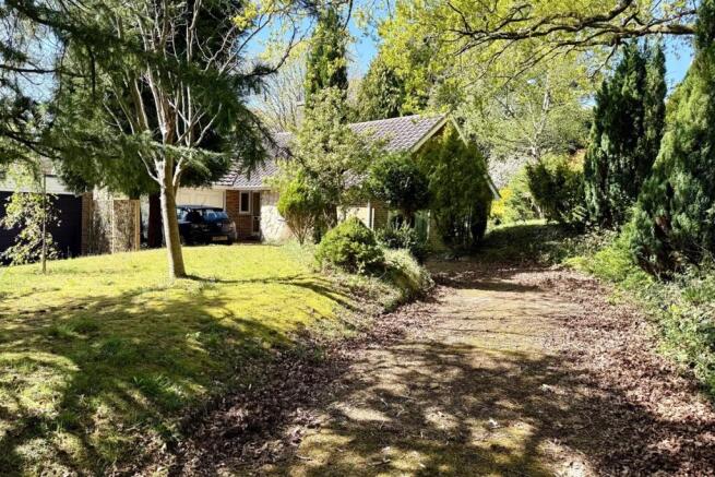 Driveway and Front E