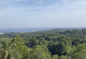 Photo of Balearic Islands, Mallorca, Palma de Mallorca