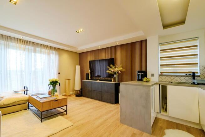 Living/Kitchen Area