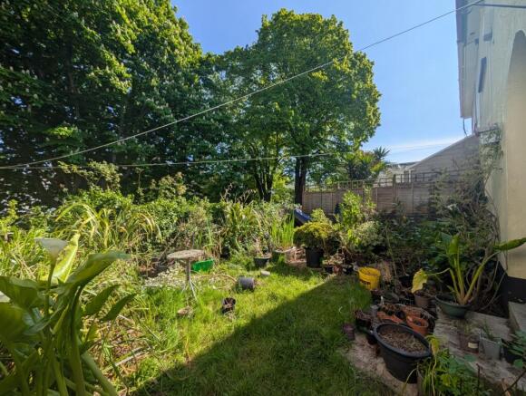 garden