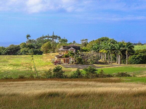 Lion Castle Estate