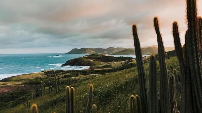 Cabot St Lucia