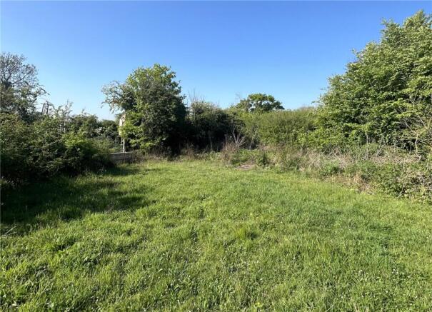 Bare Grassland