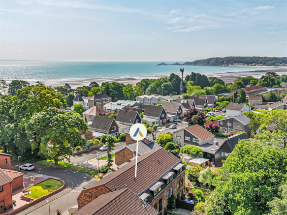 Untitled design (34).png