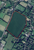 Aerial Image
