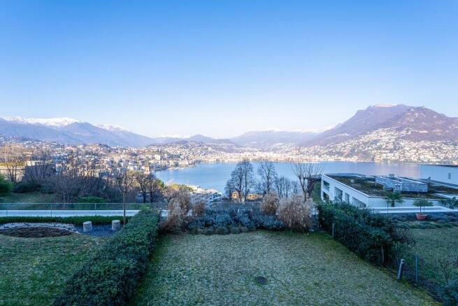 Lake view 