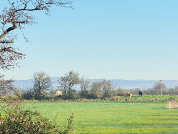 Enviable Semi-Rural Surroundings