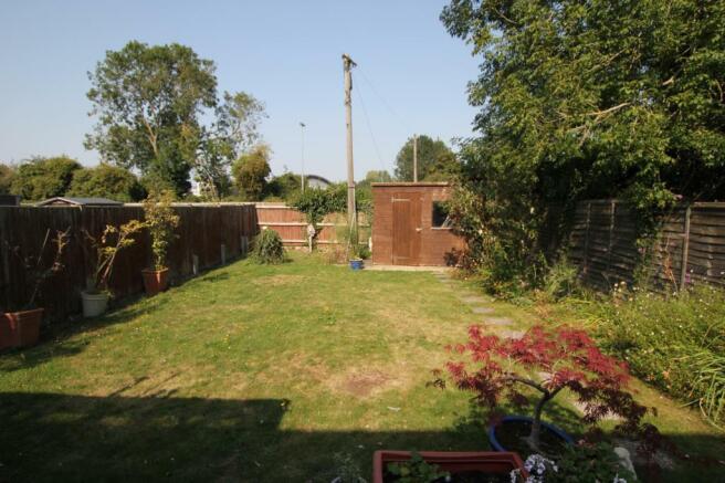 garden.JPG