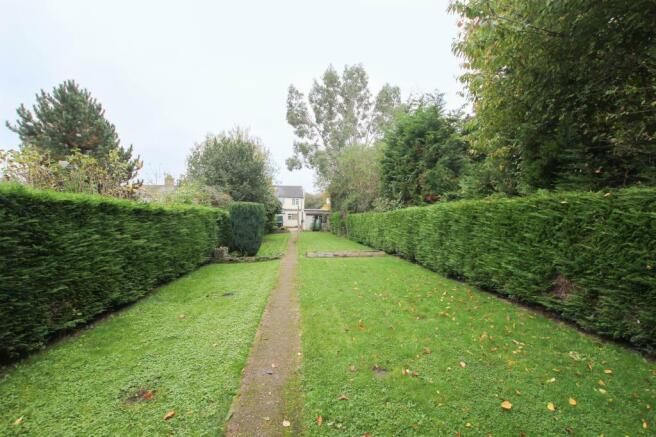 garden2.JPG