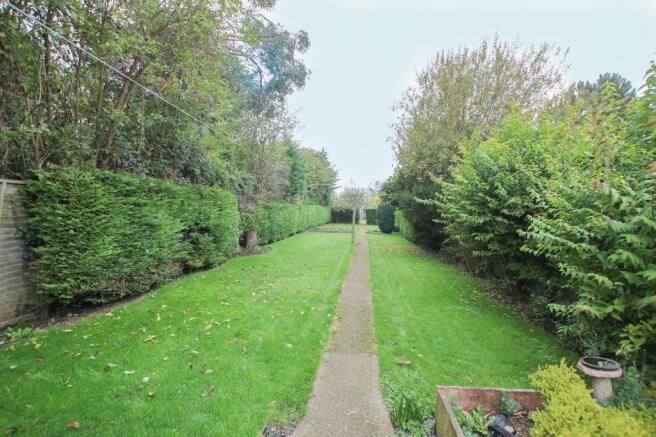 garden.JPG