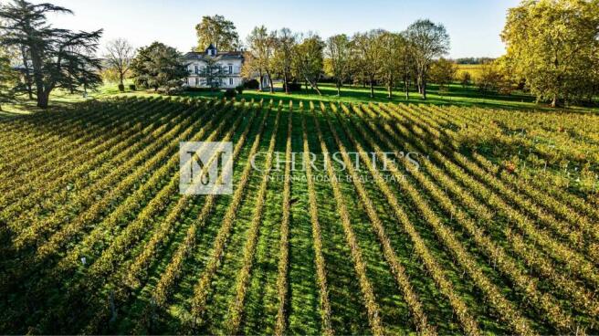 Château Nature Report Reportage Vin Wine drone dr