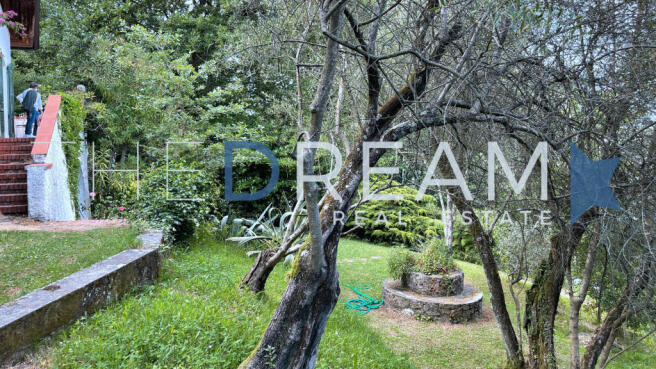 231_Villa_Ewald_TheD