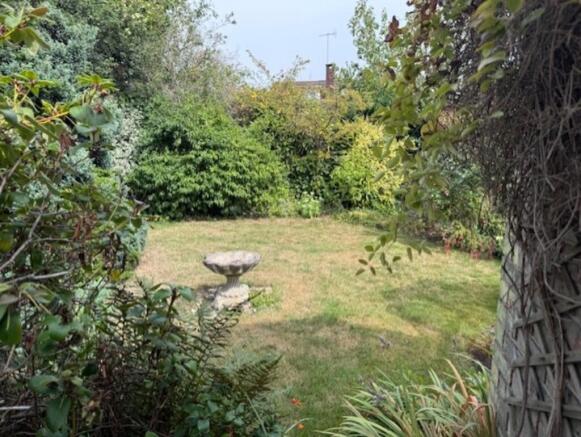 garden 6