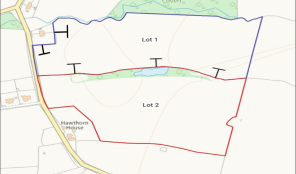 Site Plan 010425.png