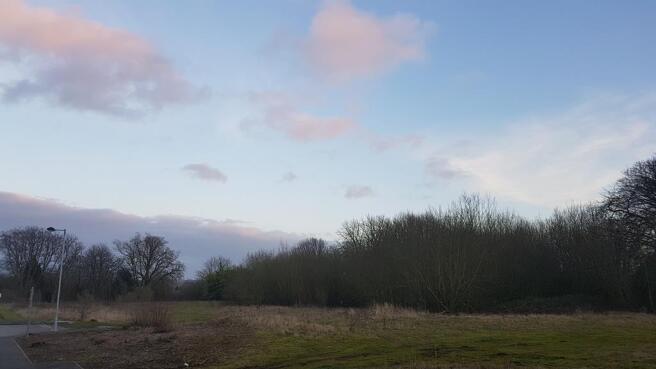Willerby Hill - Design & Build - main photo