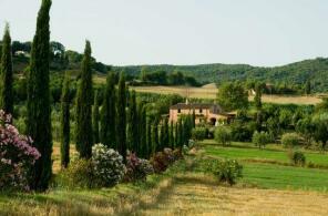 Photo of Tuscany, Pisa, Riparbella