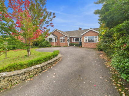 St Marys Park, Ottery St Mary