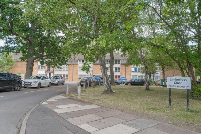 20250718-DSC05647...