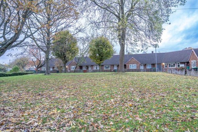 20251103-DSC07079...