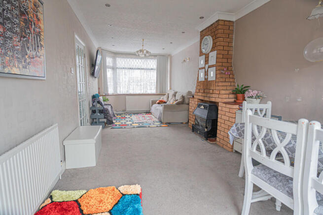 20251111-DSC07133...