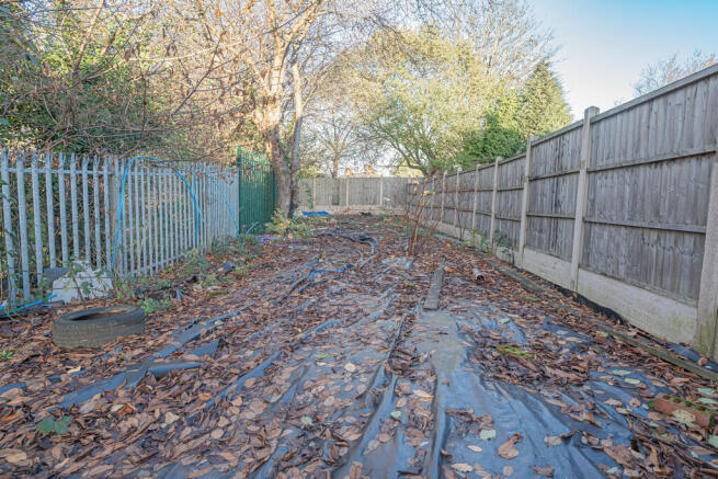 20251118-DSC07208...