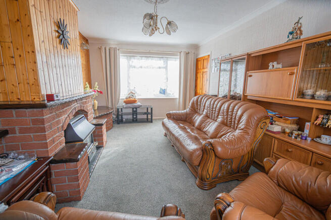 20251119-DSC07231...