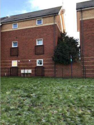 Mole Court