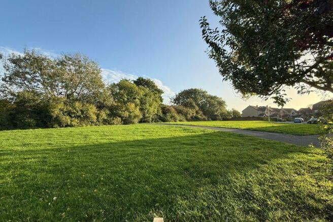 Green Space Nearby