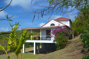 Photo of The Cotton Tree, Spring