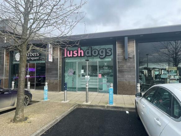 lush dogs.jpg