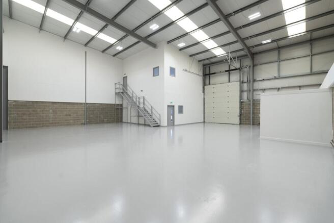 IW260325CAE10037.jpg