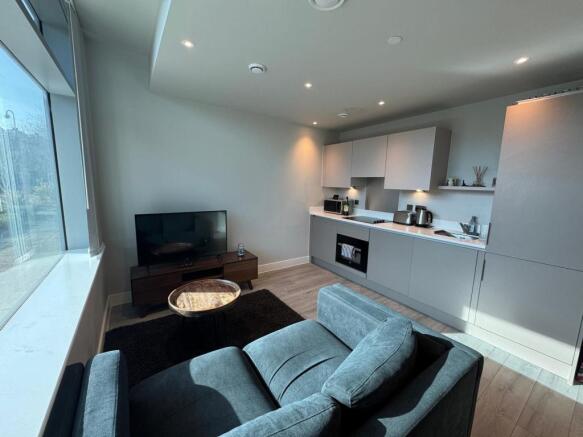 Living Area/Kitchen