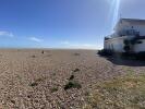 IMG_4242.jpeg