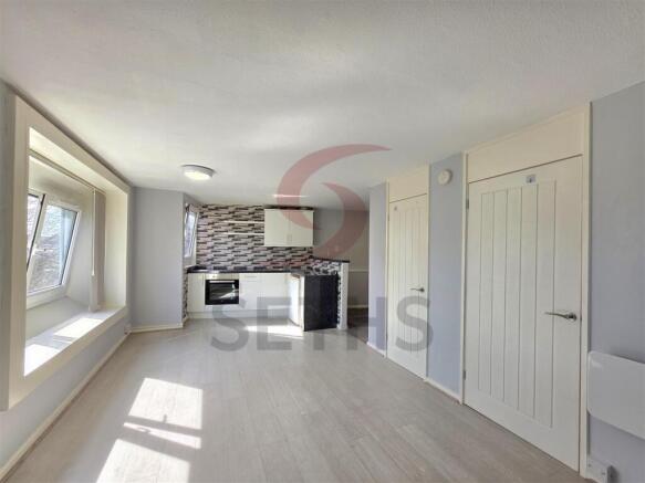 Bedroom/Lounge/Kitchen