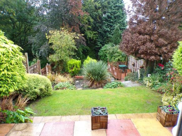AlderRd32gdn1.JPG