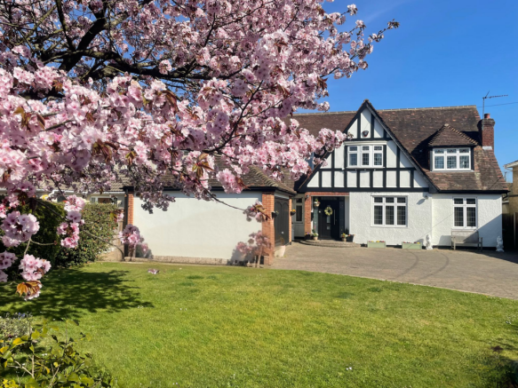 Front with Blossom Tree in Flower