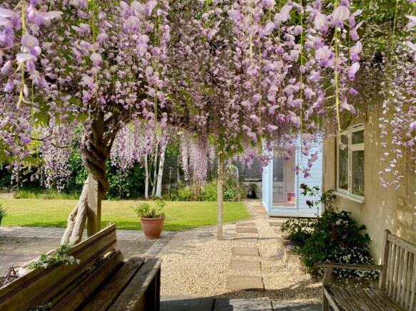 Wysteria.jpg