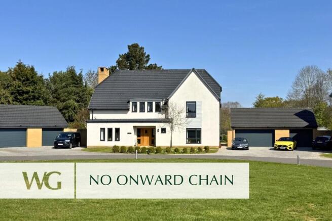 No Chain