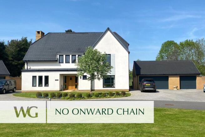 No Chain