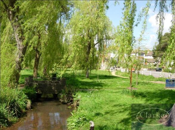 COY Pond.JPG
