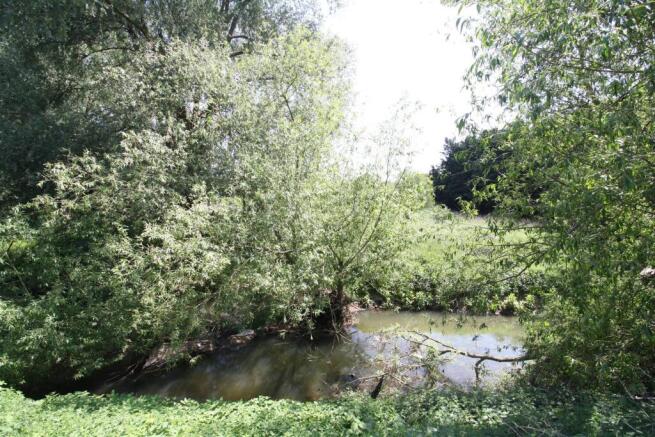 River Ousel